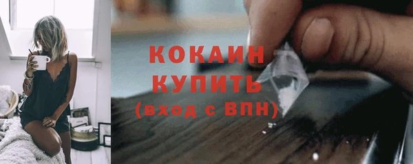 крисы Верея