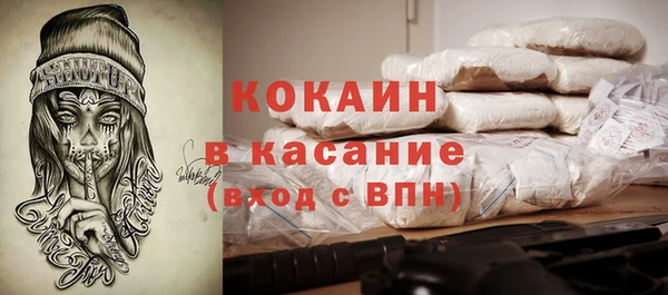 крисы Верея