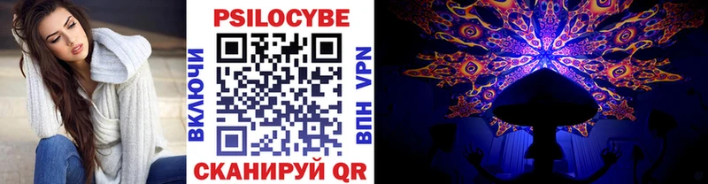 Купить где  Каргат  Псилоцибиновые грибы GOLDEN TEACHER 