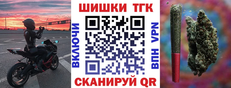Купить где  Каргат  Шишки марихуана марихуана 